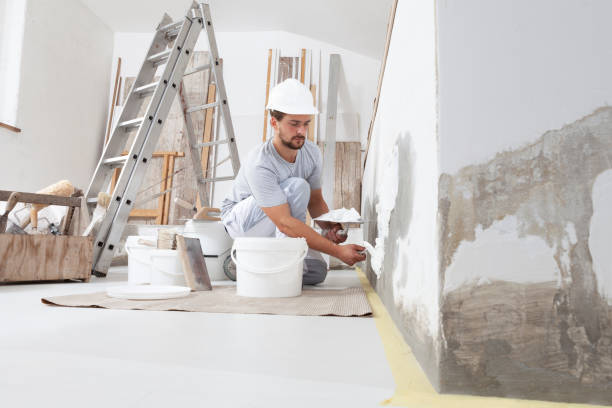 Best Mold Remediation for Vacation Homes  in Richwood, LA