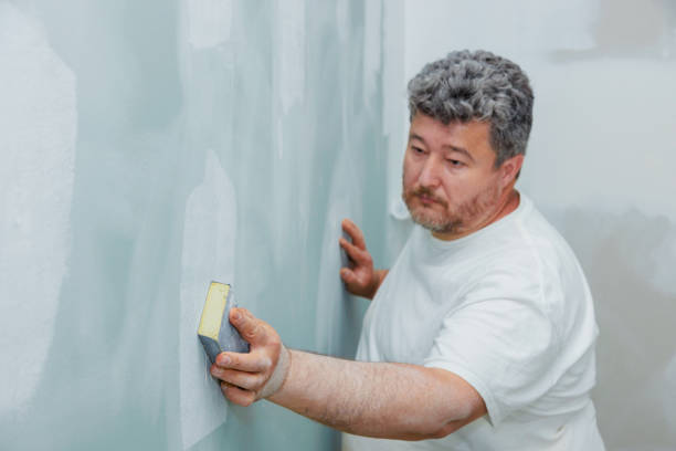 Best Mold Odor Removal Services  in Richwood, LA