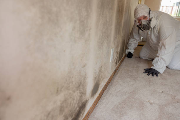 Forensic Mold Investigation in Richwood, LA