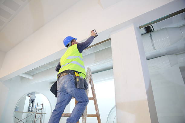 Best Black Mold Removal  in Richwood, LA